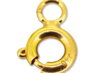 Spring Ring Clasp